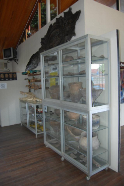 museo pucallpa
